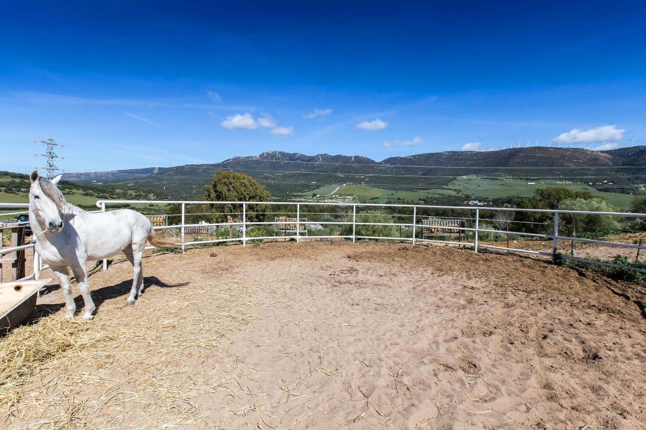 Apartamento Casita rural en Centro de Hípica Tarifa Exterior foto